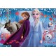 05009A Vafa Anna si Elsa Frozen 2 30x20cm